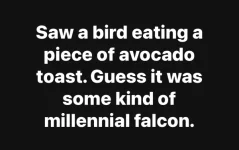 1756896150892.webp