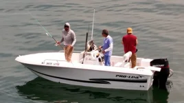 Boat 4 enlarge.webp