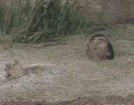 1758140647265.gif
