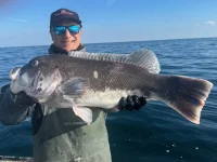 2025 Newport 11#.webp