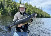 Kipawa Walleye 32.webp