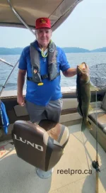 kipawa 29 inch walleye 2025.webp