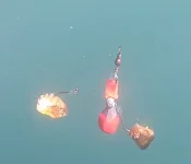 Screenshot 2026-01-18 204116.webp