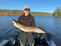 ottawa river pike.webp