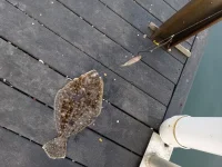 IMG_20260418_073417 (1).webp