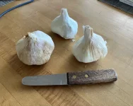 IMG_0310.webp