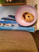 20260519_094812.webp