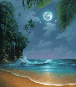 1779242795042.gif