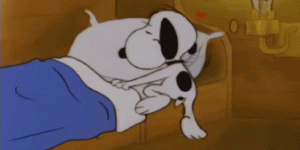 1612837093626.gif