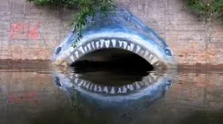 1782383427590.webp