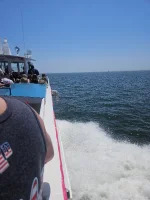 20260703_113632.webp
