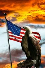 America is the greatest.webp
