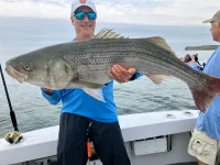 2026PorgBass2.webp