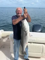 IMG_6479.webp