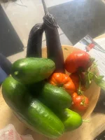 IMG_2643.webp