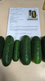 IMG_20260906_111451462_HDR (1).webp