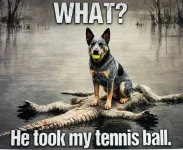 1788861313561.webp