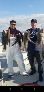 Screenshot_20191103-054115_Gallery.webp
