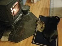 20191112_184820.webp