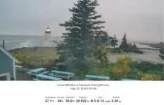 1790678965360.webp