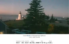 1791022325711.webp