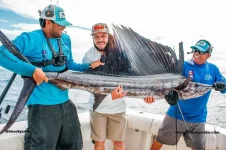 sailfish-cabo-charter.webp
