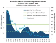 WinterFlounderSNEMA_SSB_2021.webp