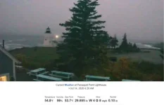 1791973854475.webp