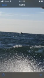 76317012-AC99-40C9-94AB-2D88BEDCB03F.webp