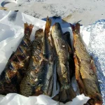 Smoked Herring. Kippers.webp