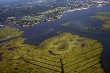 jamaicabay.webp