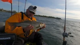 striper photo MAy 18th.webp