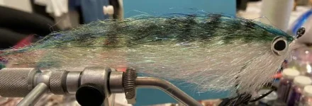 Mackerel_Prototype (2).webp