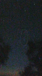 1595300217624.webp