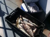 20200802_150249.webp