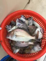 118780492_1560764264128963_5043199748613870551_n.webp
