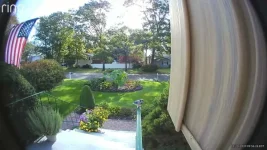 Blue Jay_Trim_Moment.webp