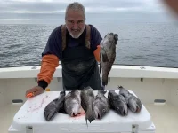sea bass.webp