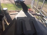 cat and hinge.webp