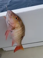 Resized_20191103_124943.webp