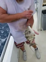 Resized_20191103_141517.webp