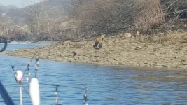 20190309_094924.webp