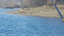 20190309_094944.webp