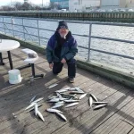 Herring 2019.webp