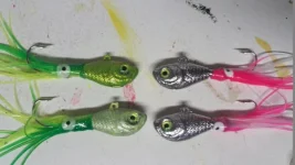 20190302_154057.webp