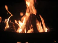 IMG_1788[1].webp