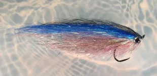 Wide_Profile_Anchovy.webp
