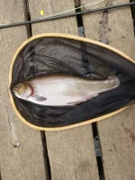 20210126_100711.webp