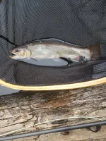 20210126_104941.webp