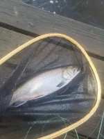 20210223_084617.webp
